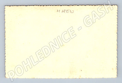 Pohlednice chlapci a pes čb (M18510)