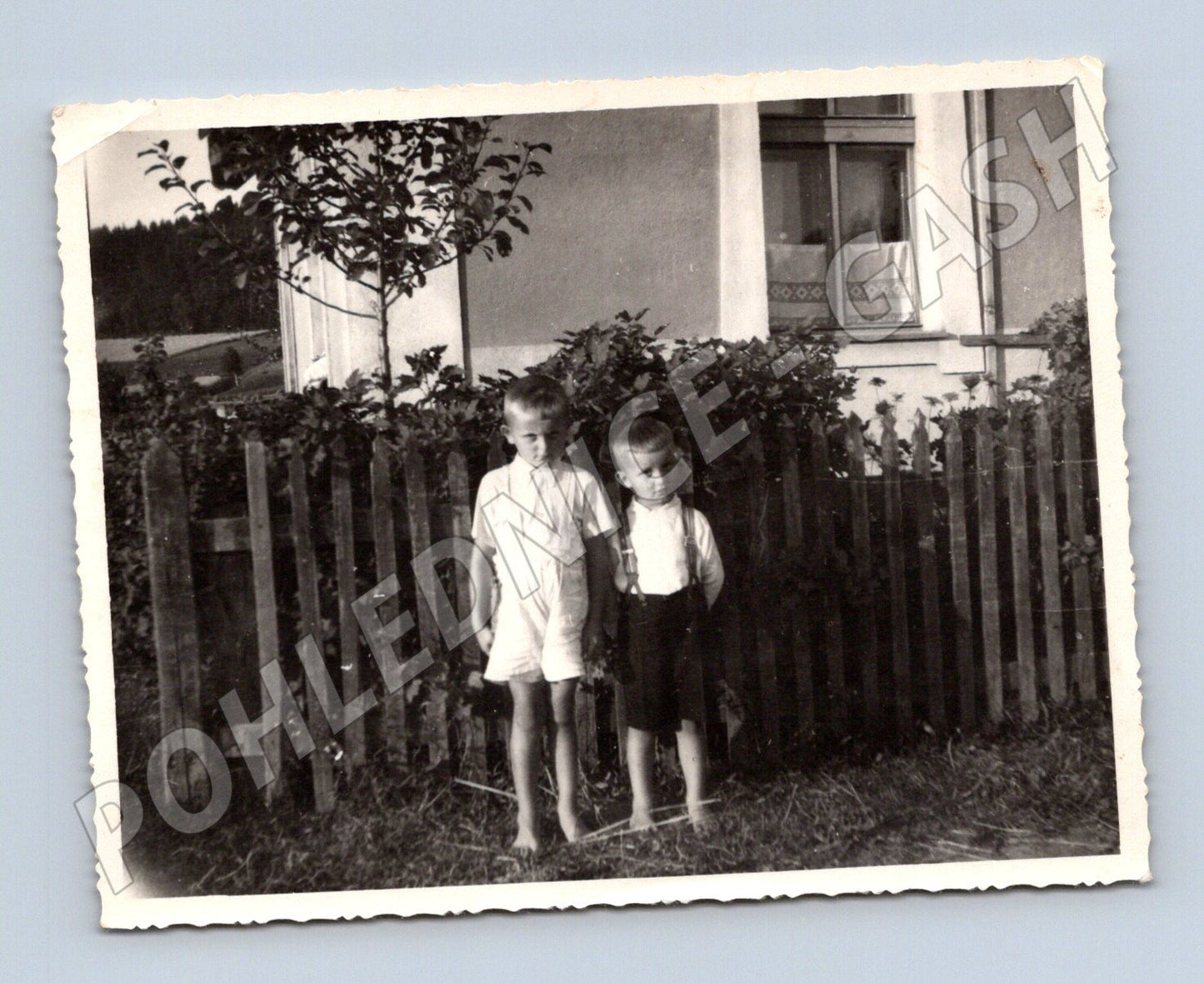 Pohlednice děti u plotu ČR do 1950 (M18520)
