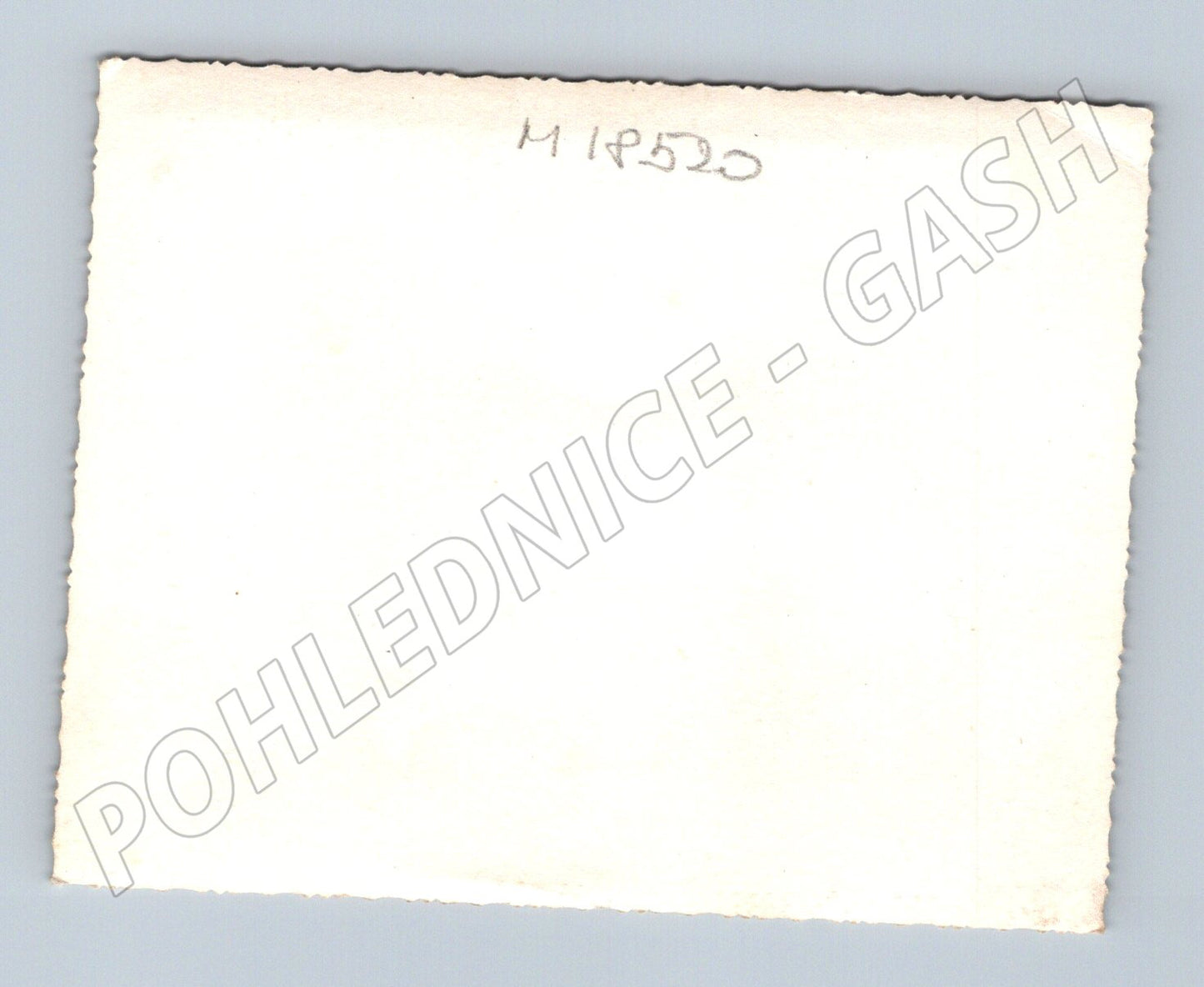 Pohlednice děti u plotu ČR do 1950 (M18520)
