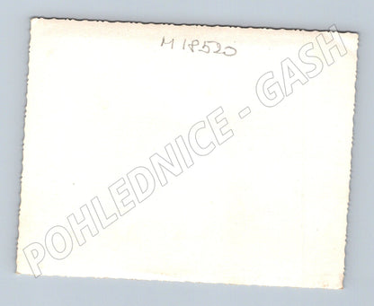 Pohlednice děti u plotu ČR do 1950 (M18520)