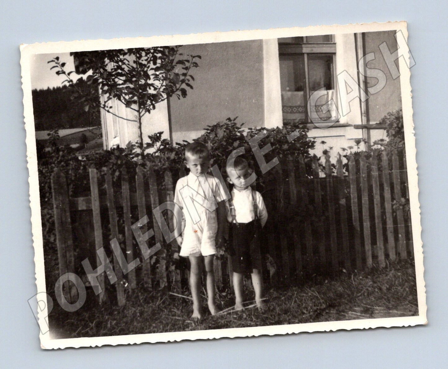 Pohlednice snímek dětí u plotu ČR do 1950 (M18521)