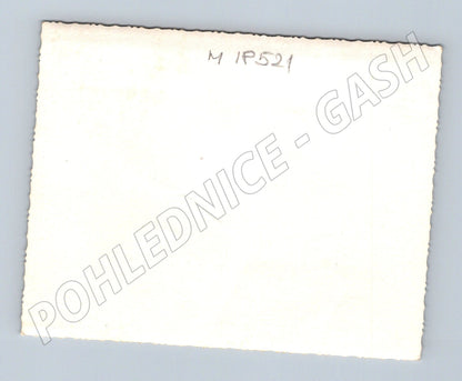 Pohlednice snímek dětí u plotu ČR do 1950 (M18521)