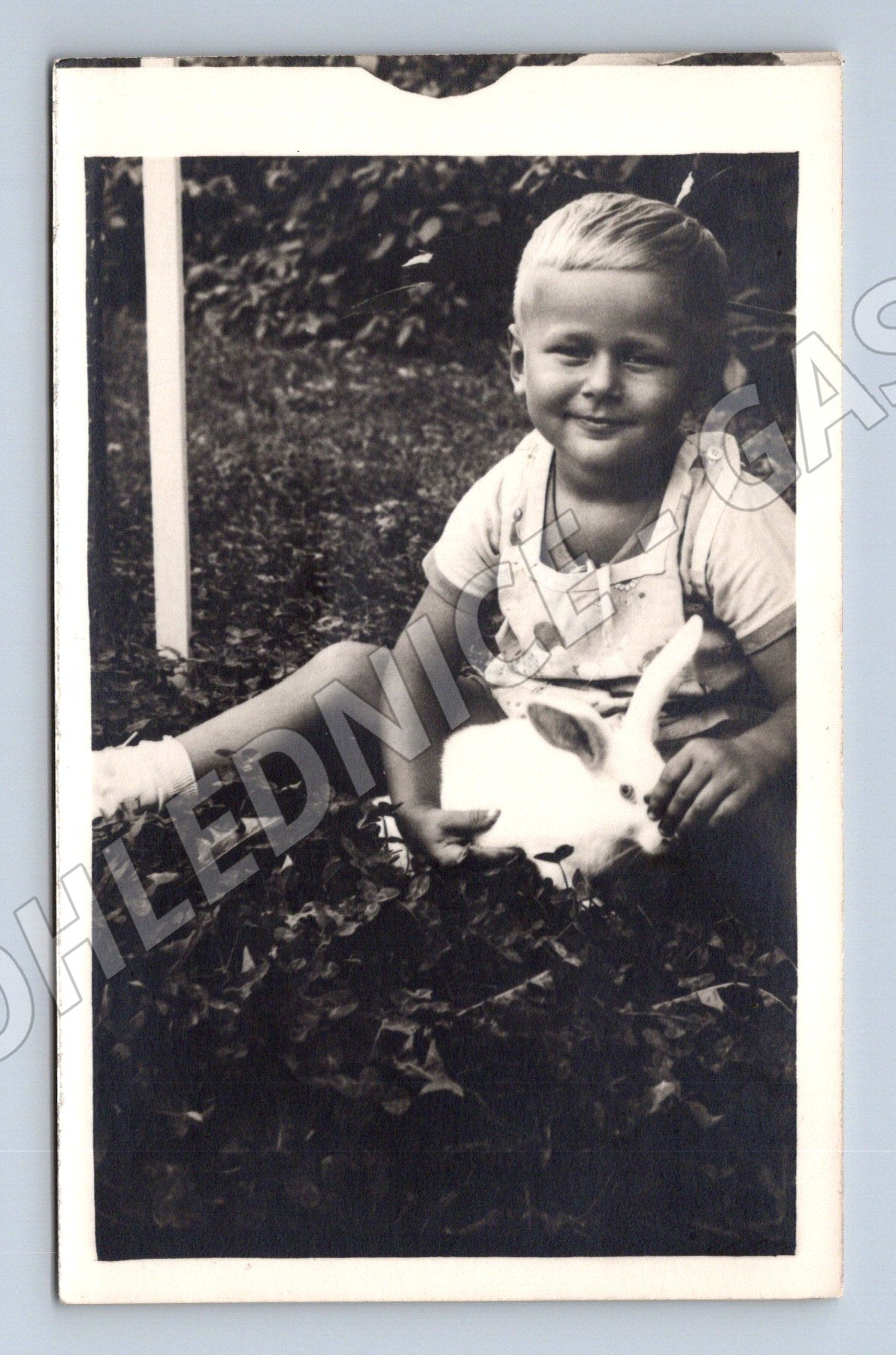Pohlednice dítě s bílým králíkem retro (M18531)