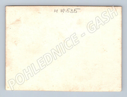 Pohlednice dva chlapci v přírodě 1 pol 20 století (M18535)