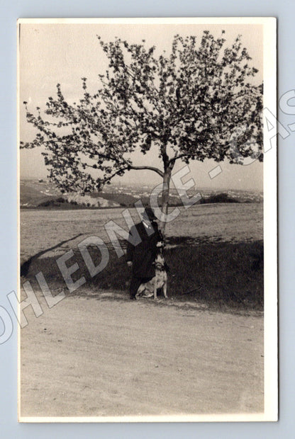 Pohlednice etnografie venkovská žena u stromu čb (M18547)
