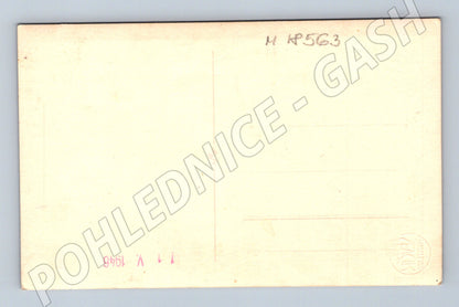 Pohlednice ateliérový portrét muže 1946 (M18563)