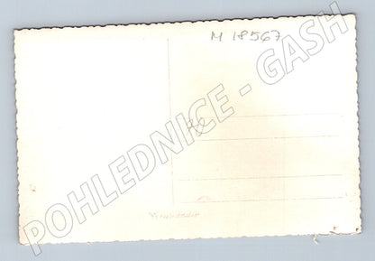 Pohlednice dívka v kroji ČSR malý formát do 1950 (M18567)