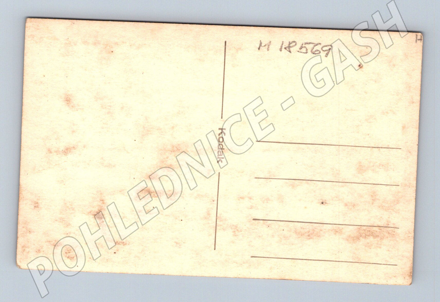 Pohlednice žena sbírající květiny Kodak vintage (M18569)