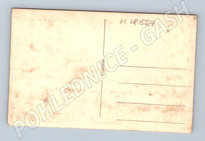 Pohlednice žena sbírající květiny Kodak vintage (M18569)