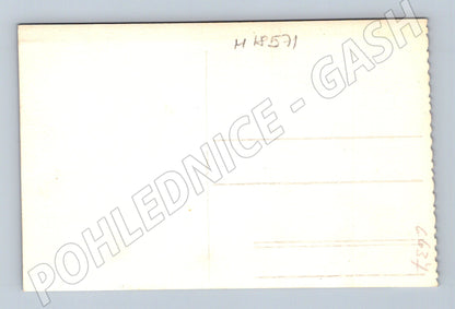 Pohlednice mladá žena portrét ateliér cca 1940 50 (M18571)
