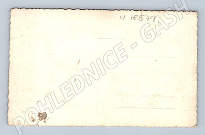 Pohlednice žena u kola černobílá patina (M18579)