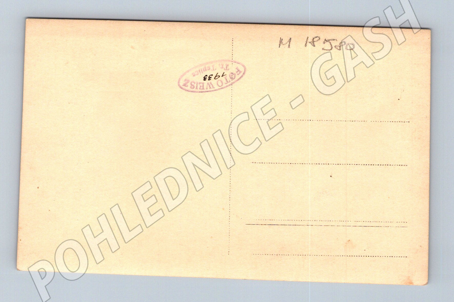 Pohlednice muž u stromu portrét 1933 (M18580)