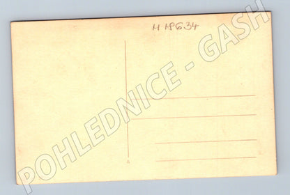 Pohlednice pietní scéna u hrobu ČR do 1950 (M18634)