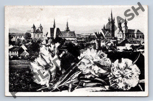 Pohlednice Klatovy panorama pošta květiny (M1866)