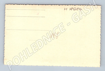 Pohlednice skupina osob před domem 1 pol 20 (M18684)