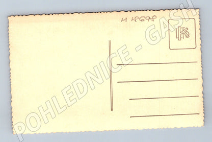 Pohlednice portrét muže černobílá 40 50 (M18698)