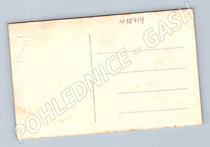 Pohlednice mladá žena elegance 20 léta (M18719)