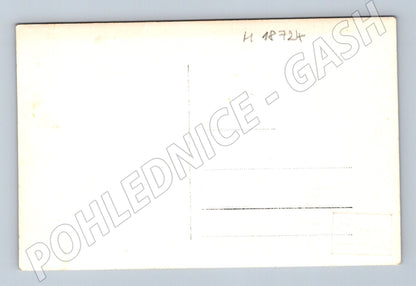 Pohlednice rodinný portrét 1930 40 černobílá (M18724)