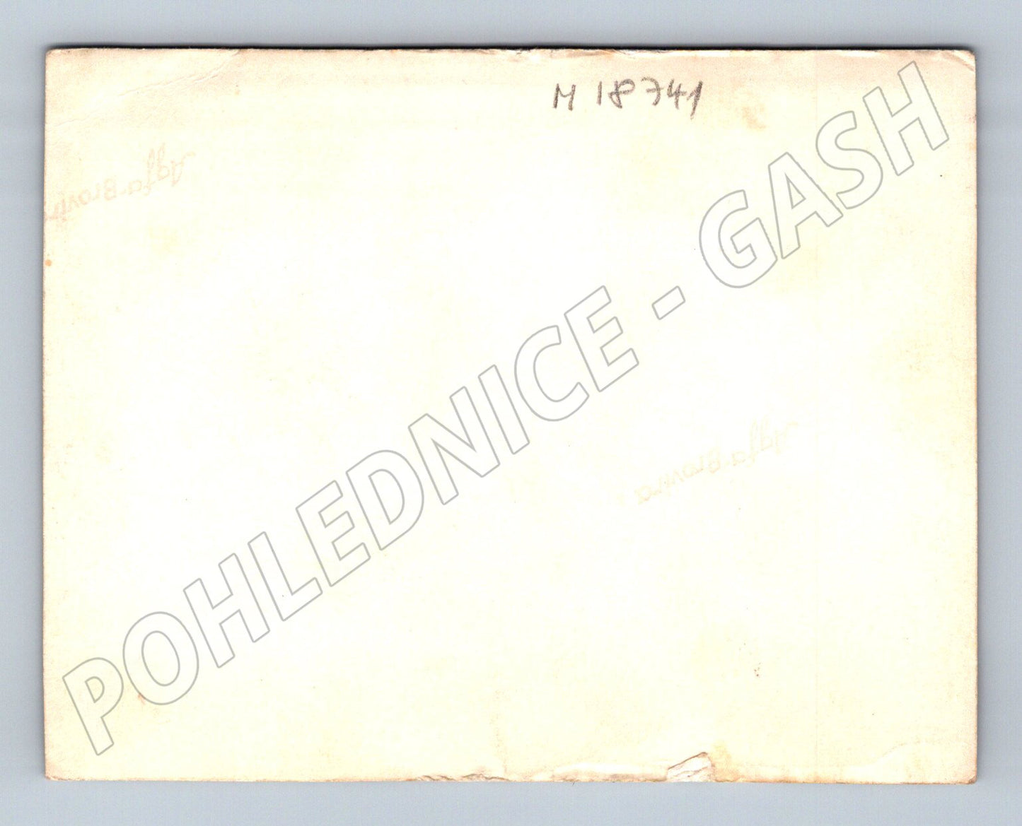 Pohlednice manželský pár 1 polovina 20 století (M18741)
