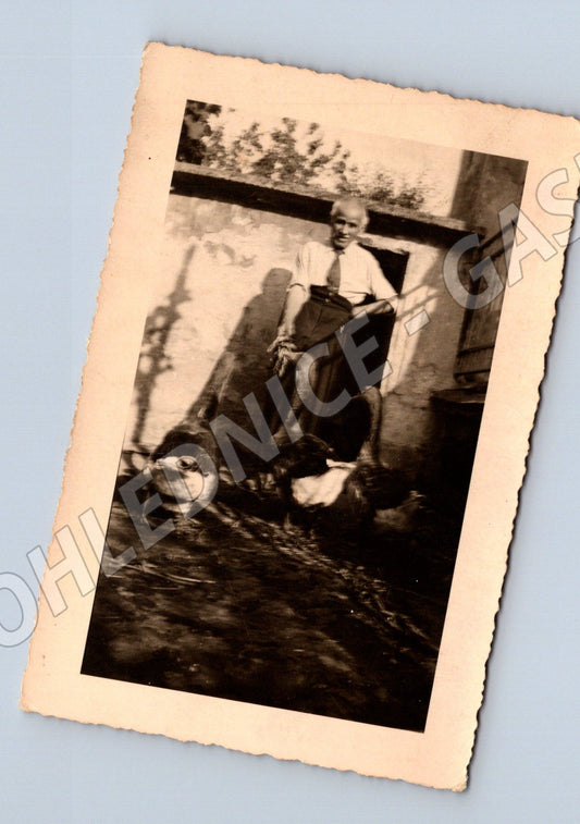 Pohlednice žena na lavici venkov 1930 1950 (M18794)
