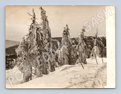 Pohlednice zimní krajina malý formát (M18837)