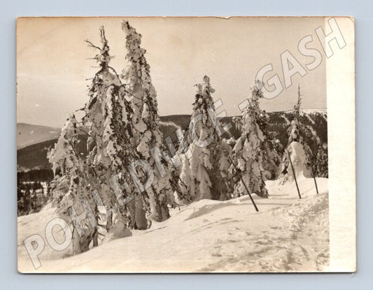 Pohlednice zimní krajina malý formát (M18837)