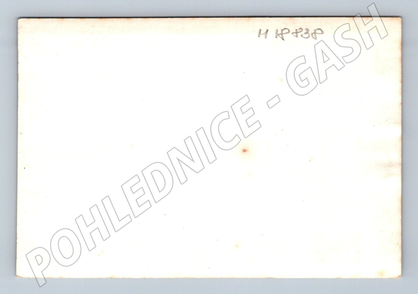 Pohlednice zasněžená lesní cesta malý formát (M18838)