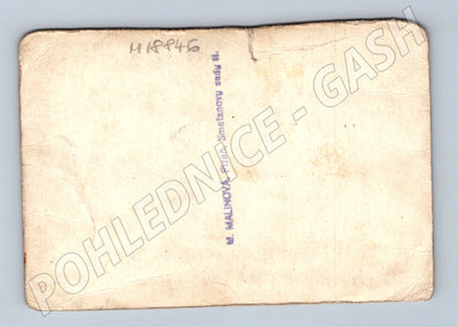 Pohlednice starší pár Plzeň ateliér Malinová (M18846)