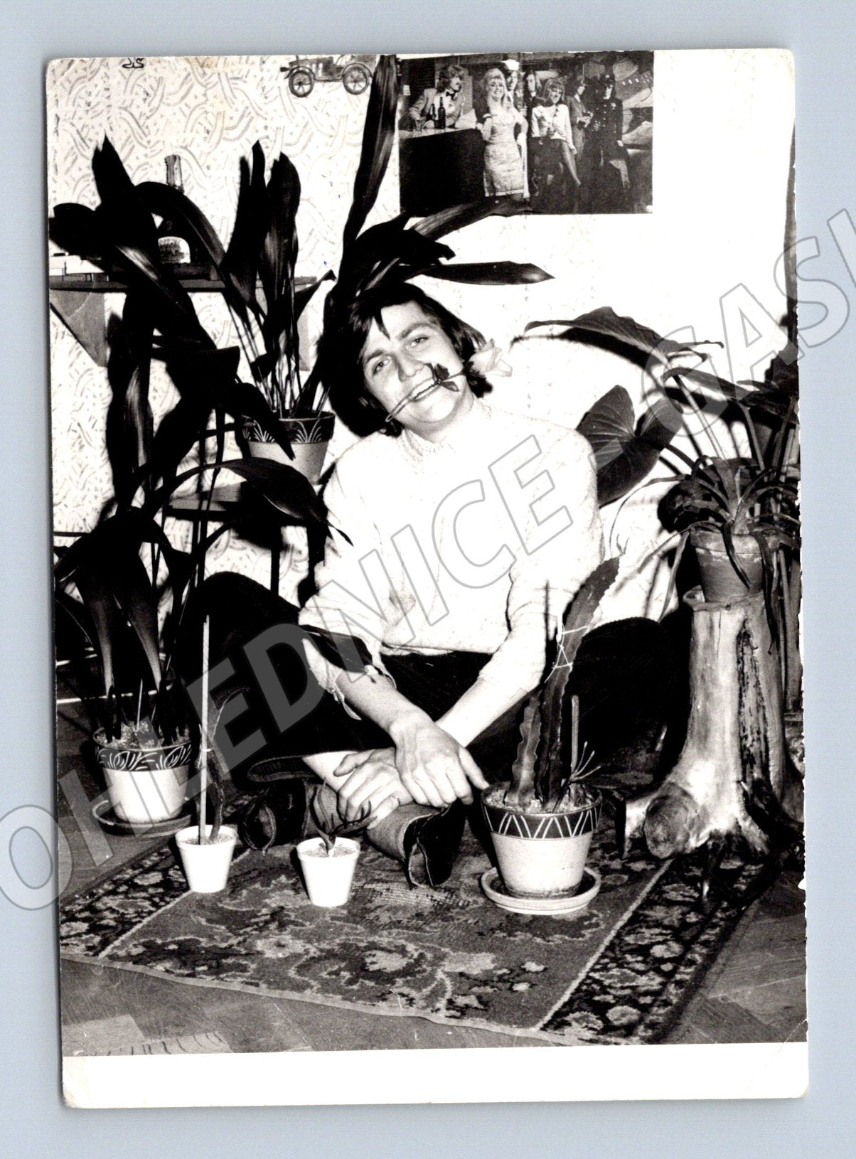 Pohlednice 1967 žena mezi květinami ČSSR (M18892)