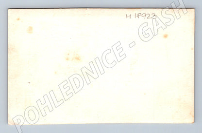 Pohlednice skupina mládeže ČR malý formát do 1950 (M18923)