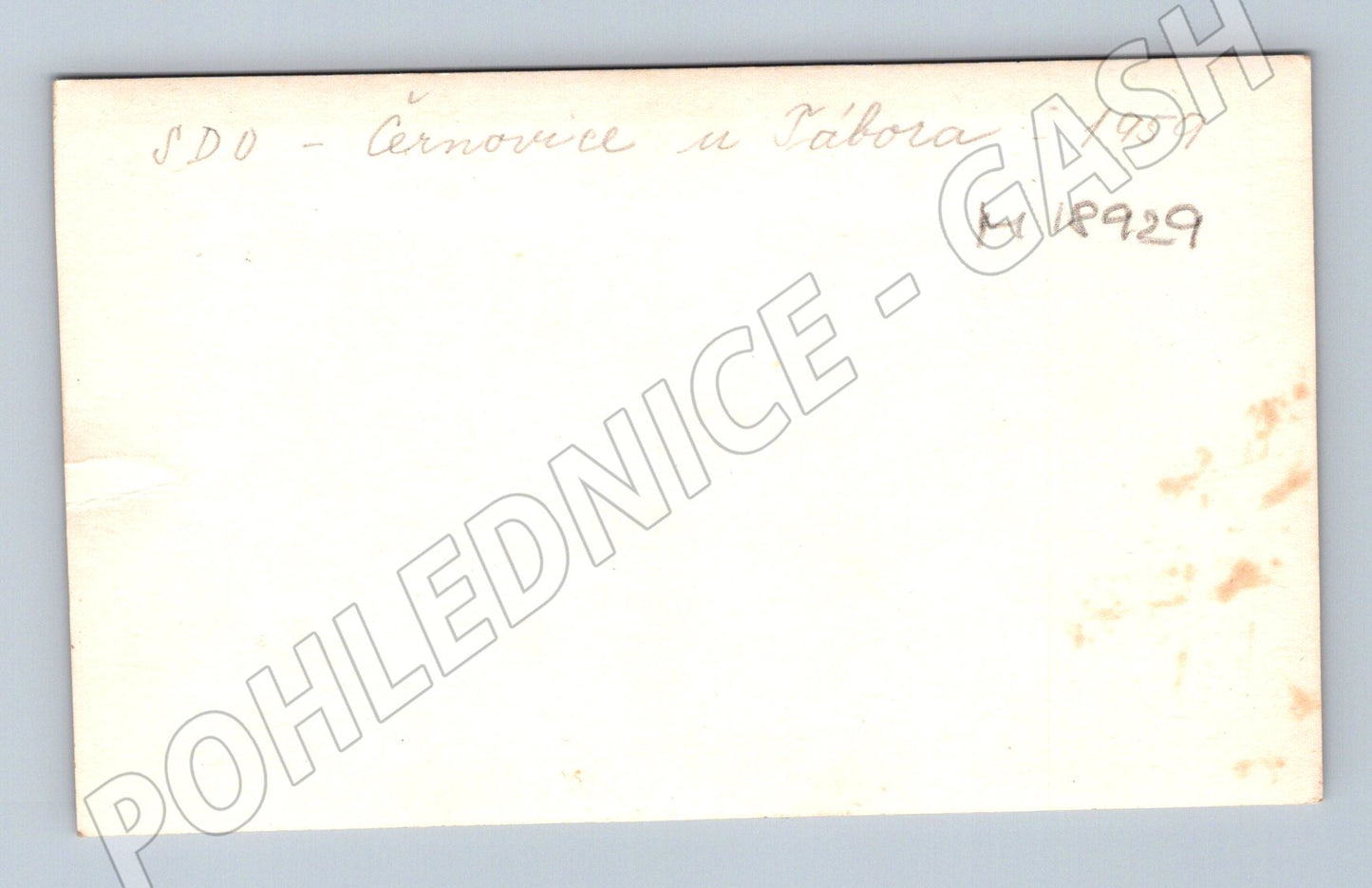 Pohlednice SDO Černovce u Tábora 1959 skupina (M18929)