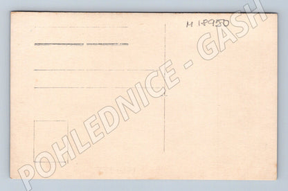 Pohlednice skupina lidí u plotu ČR do 1950 (M18950)
