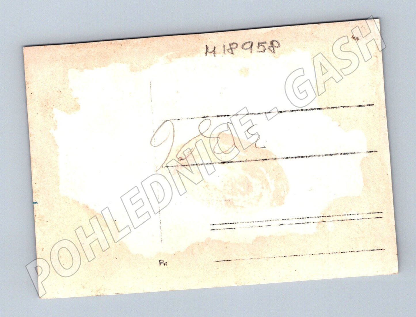 Pohlednice elegantní skupina v přírodě ČR do 1950 (M18958)
