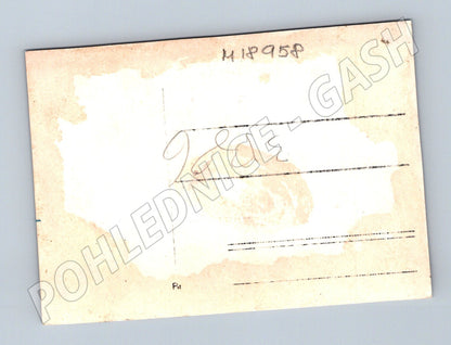 Pohlednice elegantní skupina v přírodě ČR do 1950 (M18958)