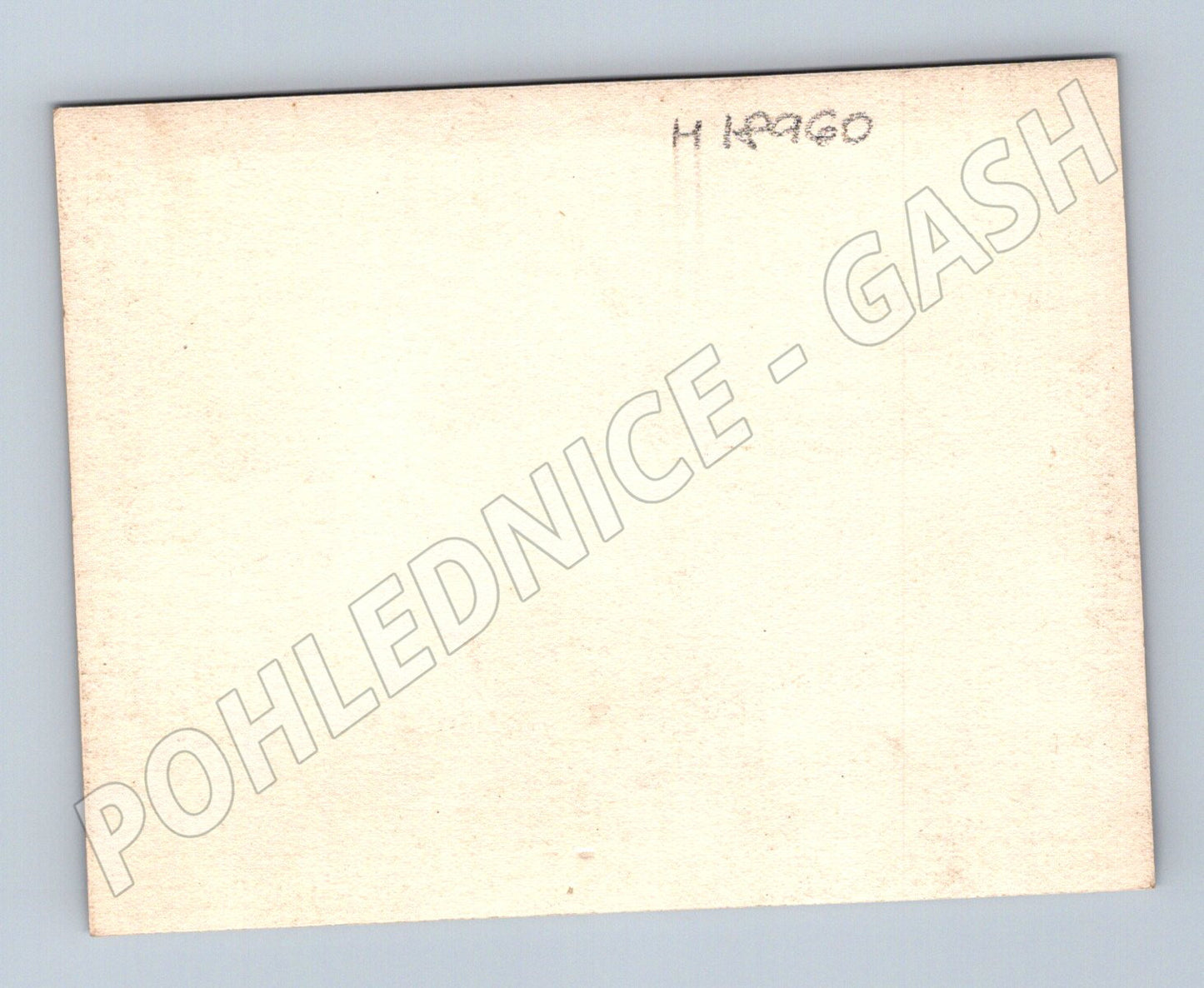 Pohlednice skupina osob v zahradě do 1950 (M18960)