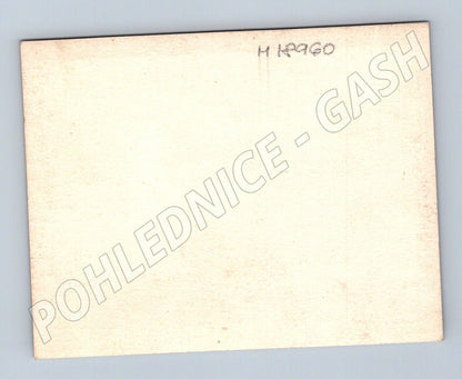 Pohlednice skupina osob v zahradě do 1950 (M18960)