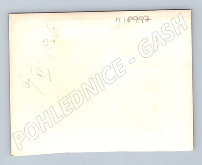 Pohlednice 1960 přípitek starší pár (M18997)