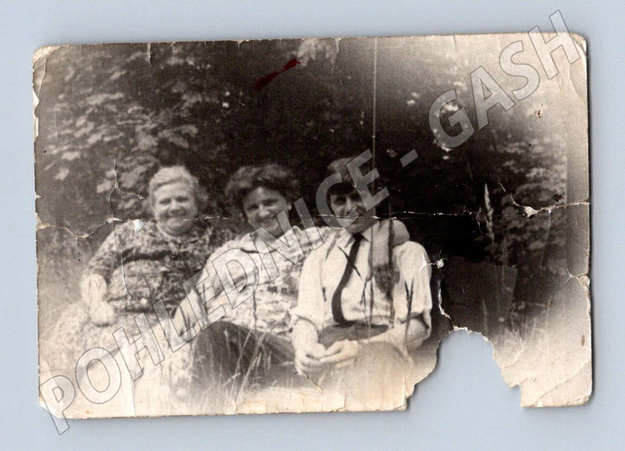 Pohlednice Starý rodinný portrét malé poškození ČR do 1950 (M19081)