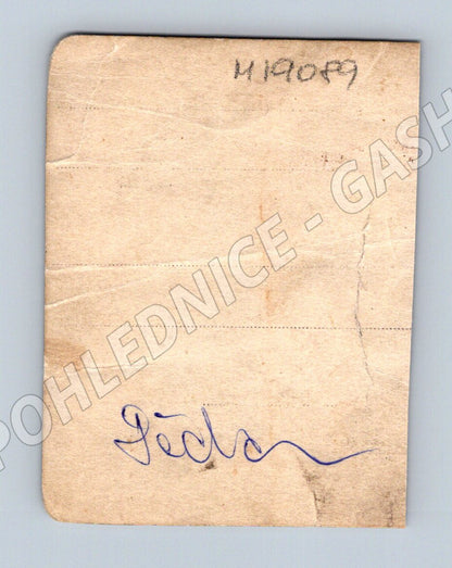 Pohlednice portrét muže Pícl (M19089)