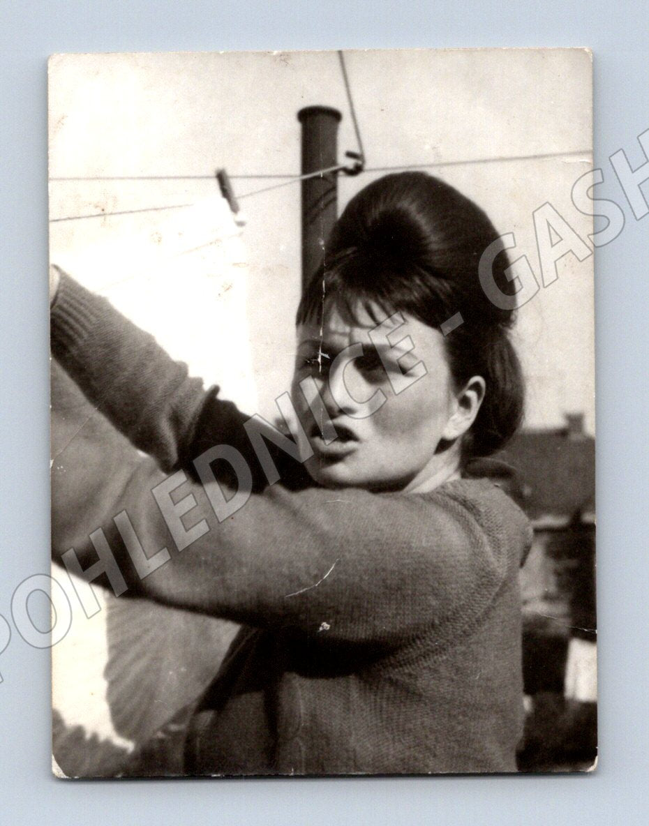 Pohlednice žena 60 léta dobový život (M19093)