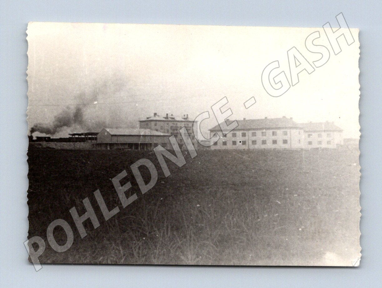 Pohlednice Třešňovec parní vlak železniční doprava 1956 (M19147)
