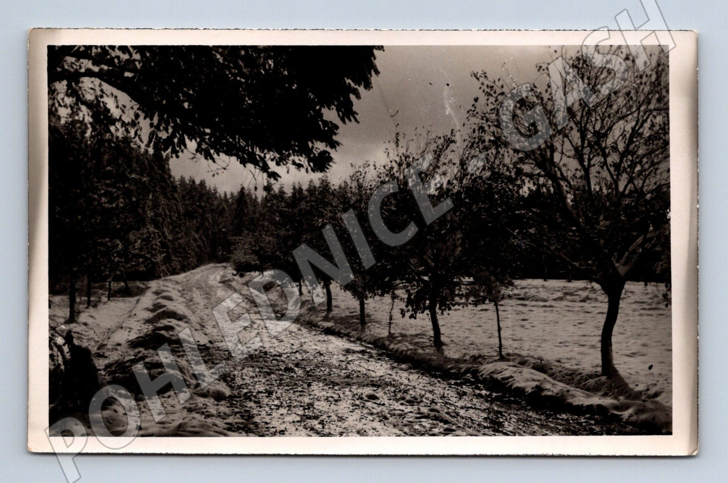 Pohlednice venkovská cesta ČR do 1950 (M19159)