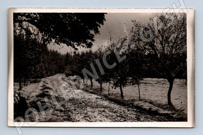Pohlednice venkovská cesta ČR do 1950 (M19159)