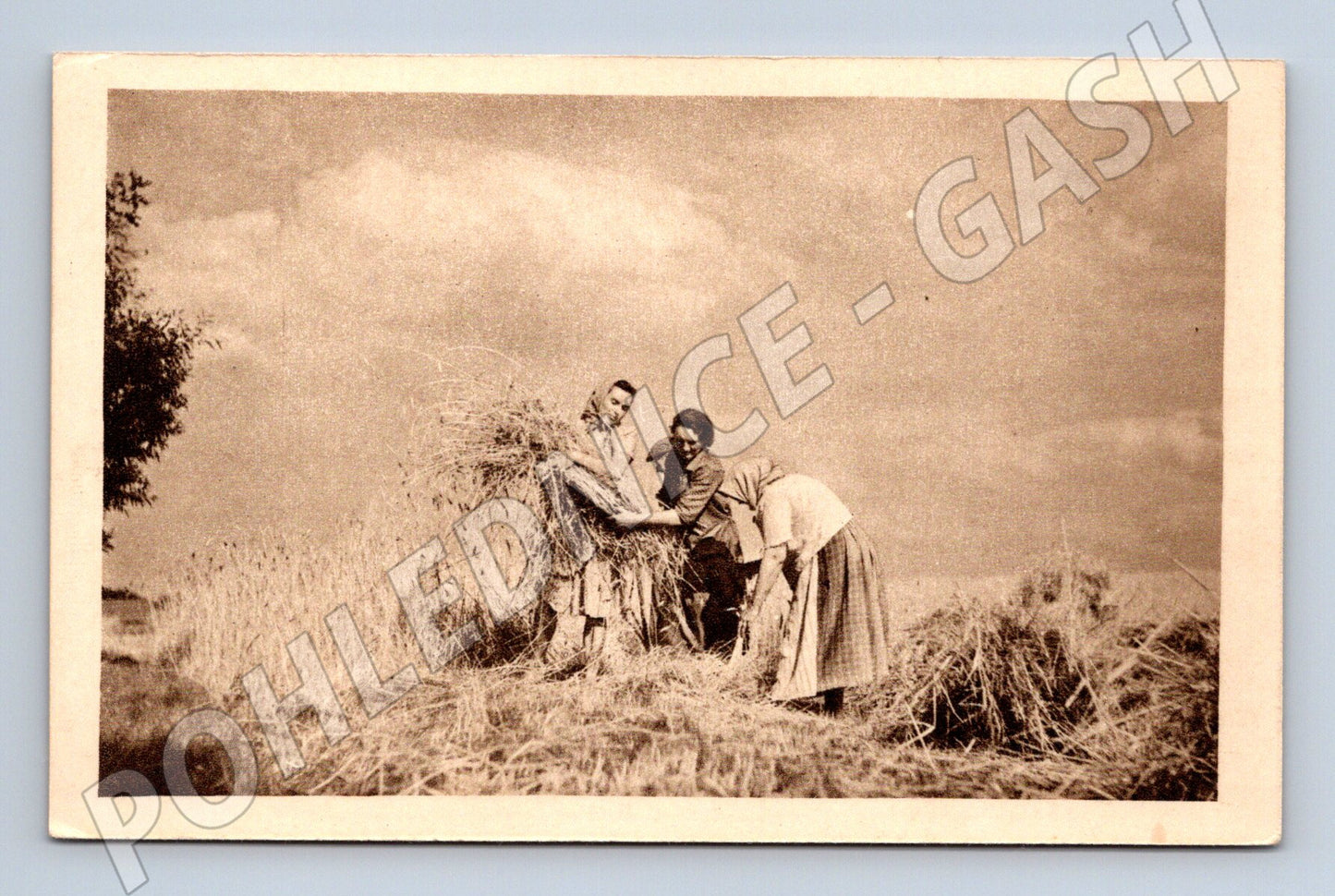 Pohlednice Starý venkovský motiv sklizeň obilí etnografická (M19171)