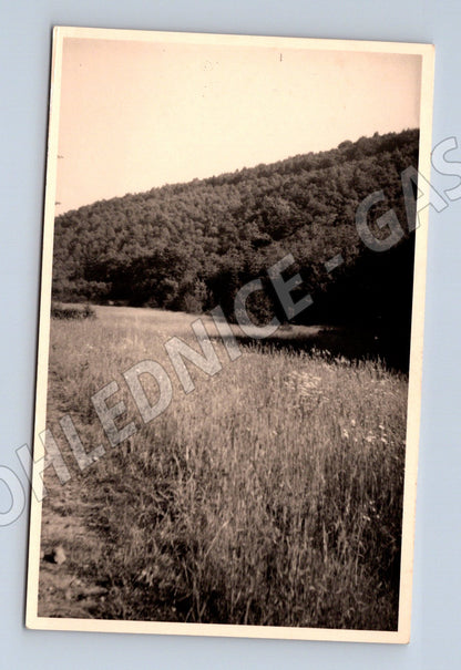 Pohlednice Černobílá přírodní scenérie 1934 malý formát (M19174)