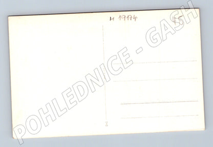 Pohlednice Černobílá přírodní scenérie 1934 malý formát (M19174)
