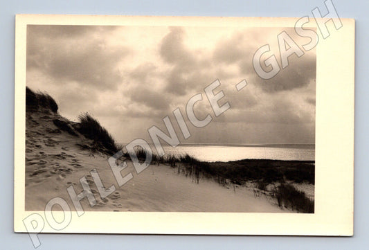 Pohlednice Sylt písečné duny u moře (M19177)