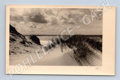 Pohlednice Sylt písečné duny u moře zahraničí černobílá (M19178)