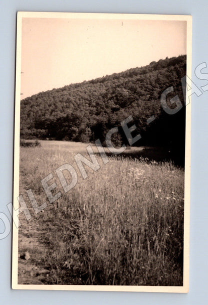 Pohlednice černobílá přírodní krajina do 1950 (M19179)