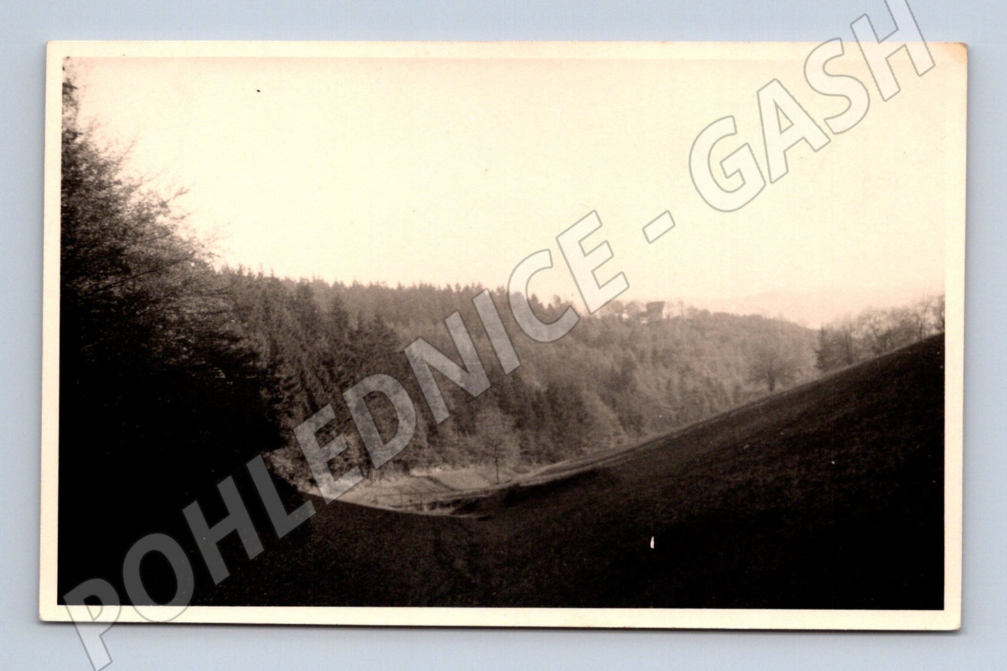 Pohlednice česká lesní krajina malý formát do 1950 (M19180)